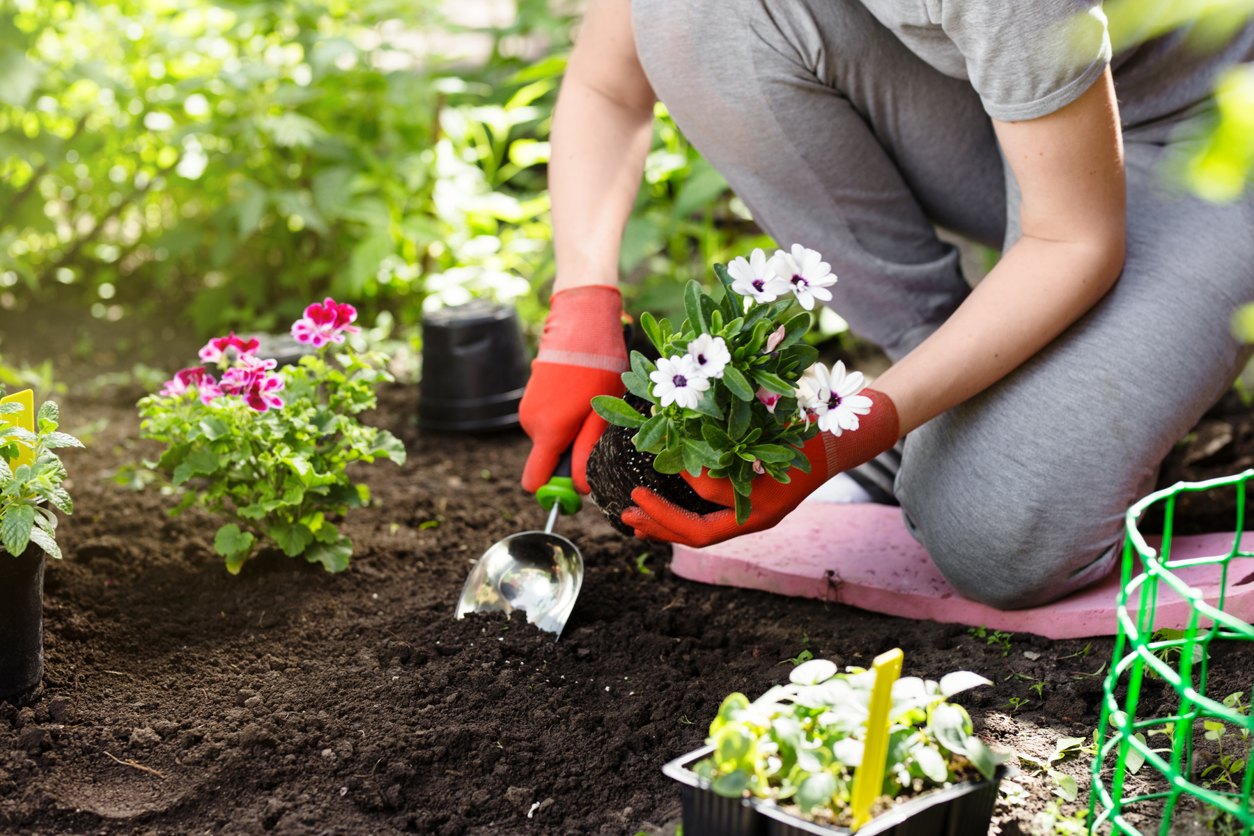 Garten- und Vorgartenarbeiten